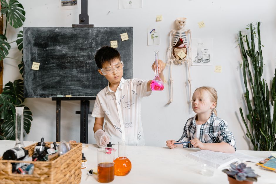 Primary 1 Basic Science - Complete Course