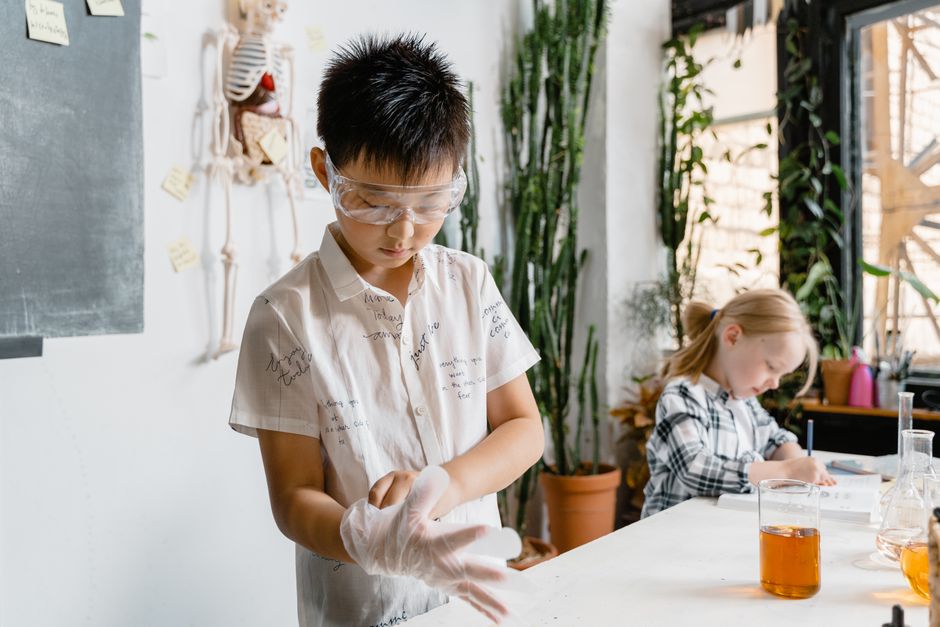 Primary 2 Basic Science - Complete Course