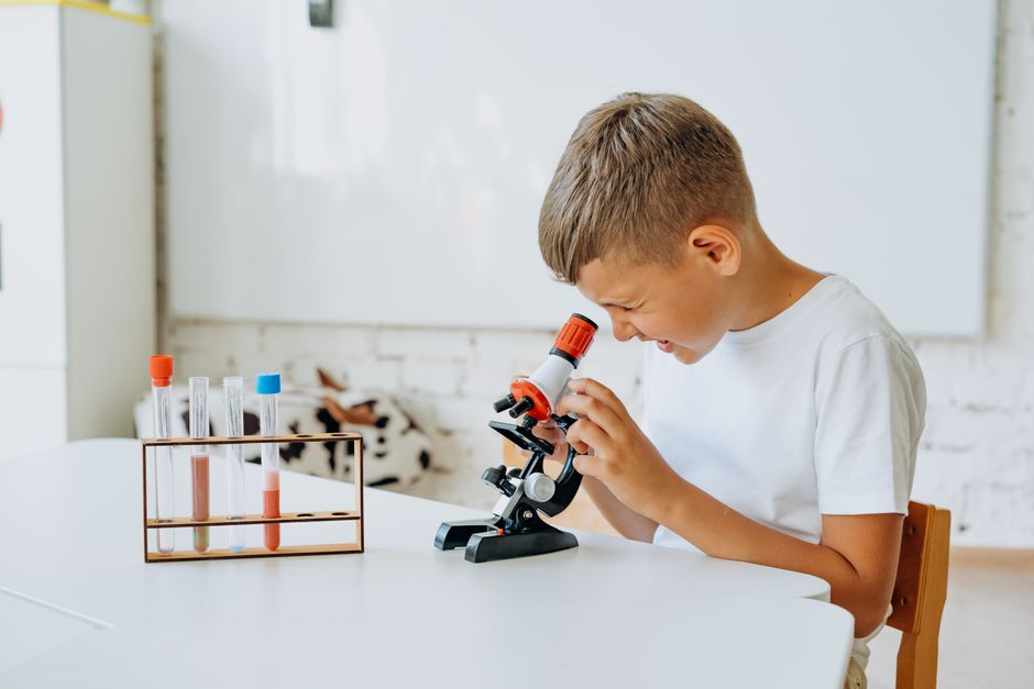 Primary 3 Basic Science - Complete Course