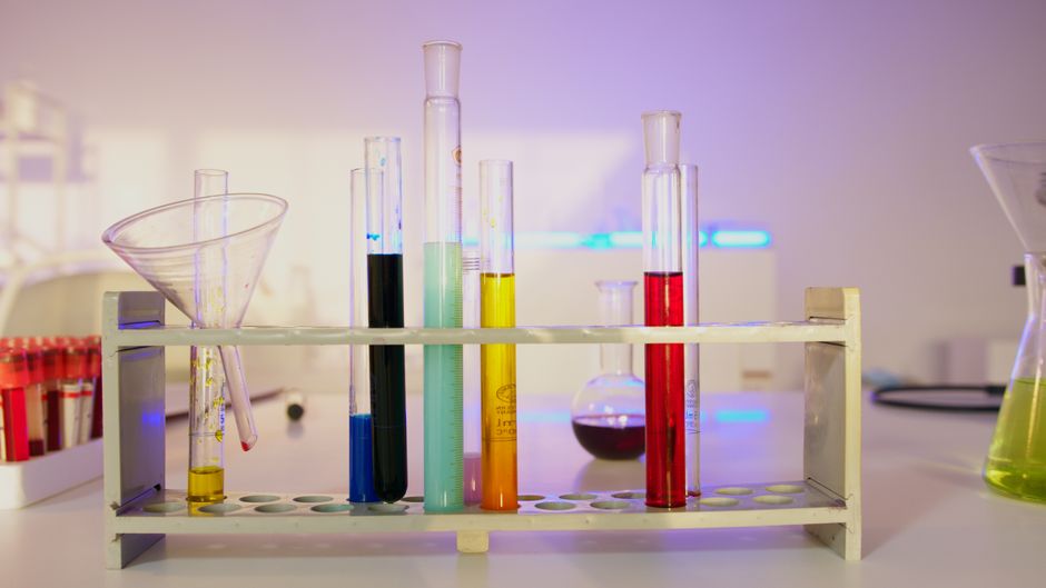 SS 1 Biology - Complete Course