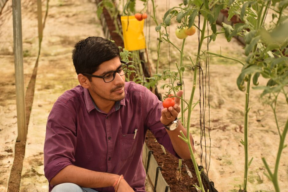 SS 3 Agricultural Science - Complete Course