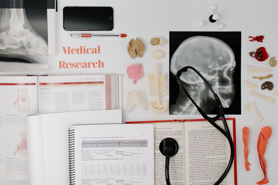 ANAT 101: General & Gross Anatomy Foundations (100 Level)