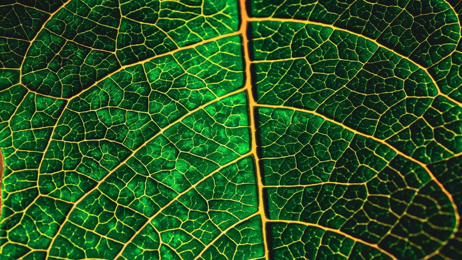 GCSE Biology - Complete Preparation