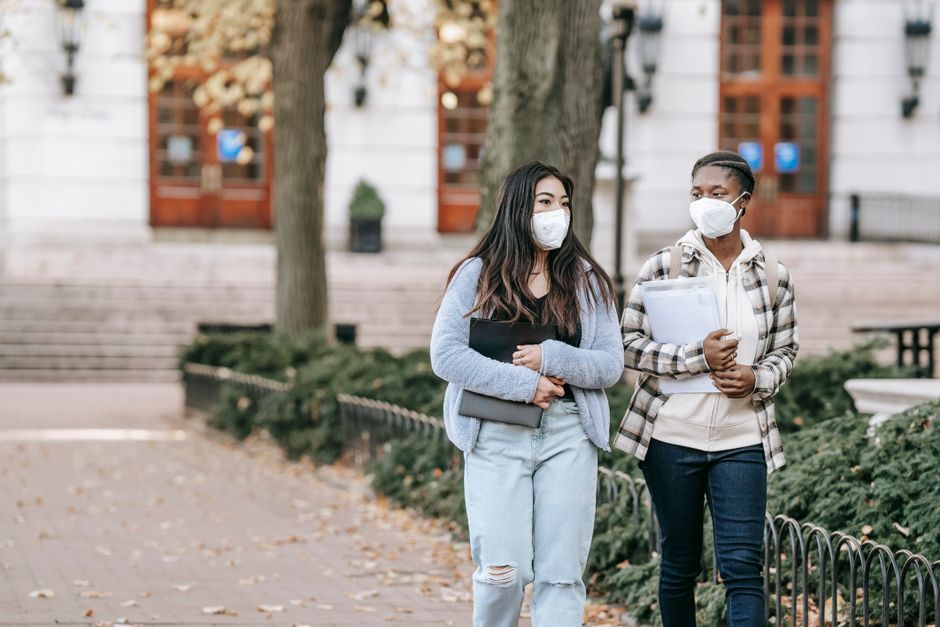 Environmental Health II (BSc)