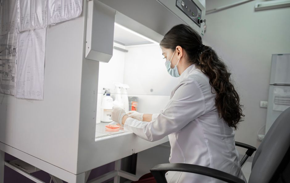 Independent Research (Public Health PhD)