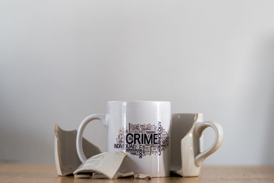 Introduction to Criminology