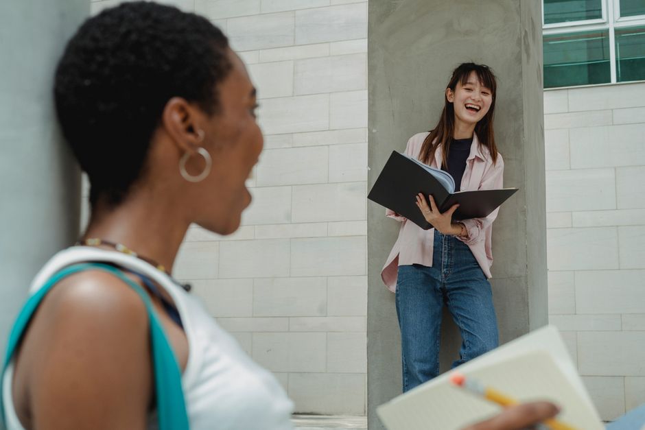 Introduction to Sociology (ND)