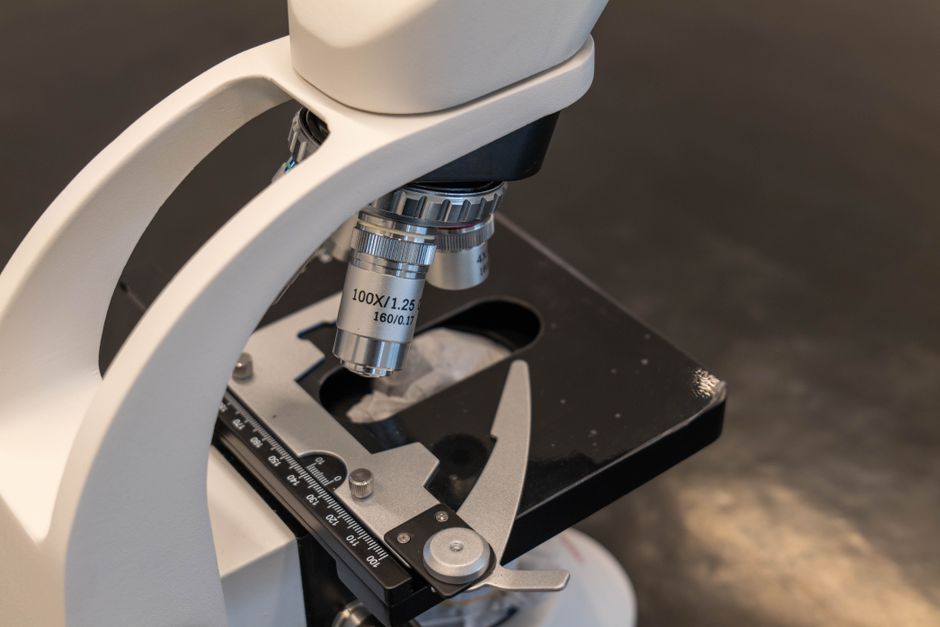Medical Physics (MSc)