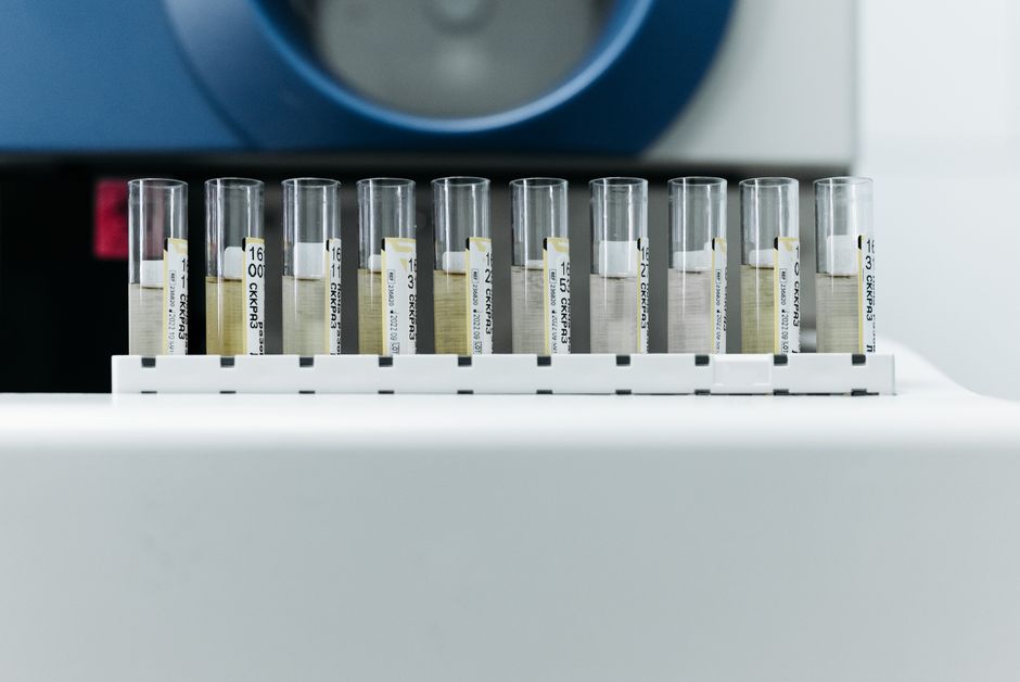 Introduction to Biochemistry (Certificate)