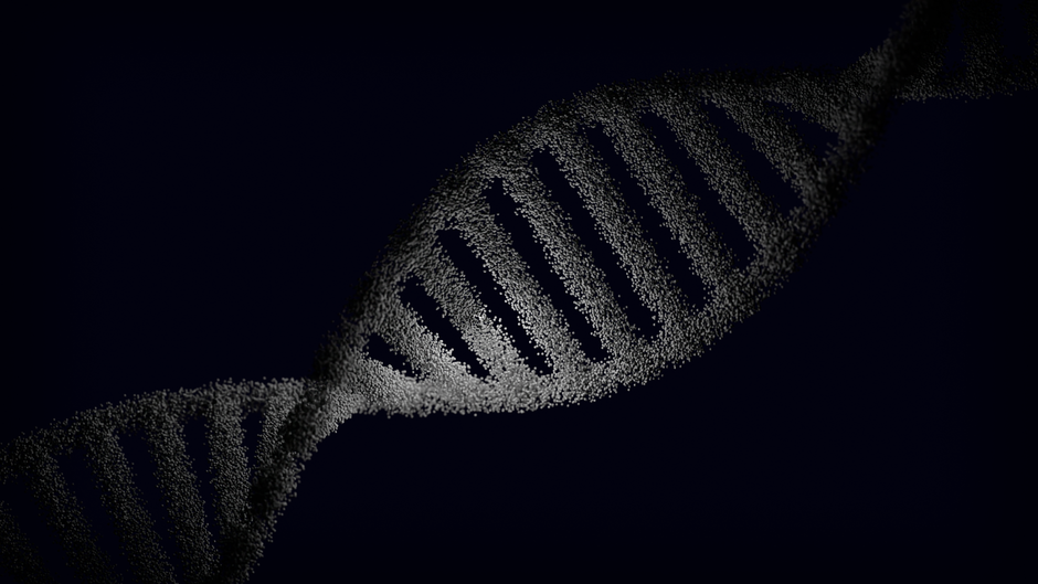 Molecular Biology I (ND)