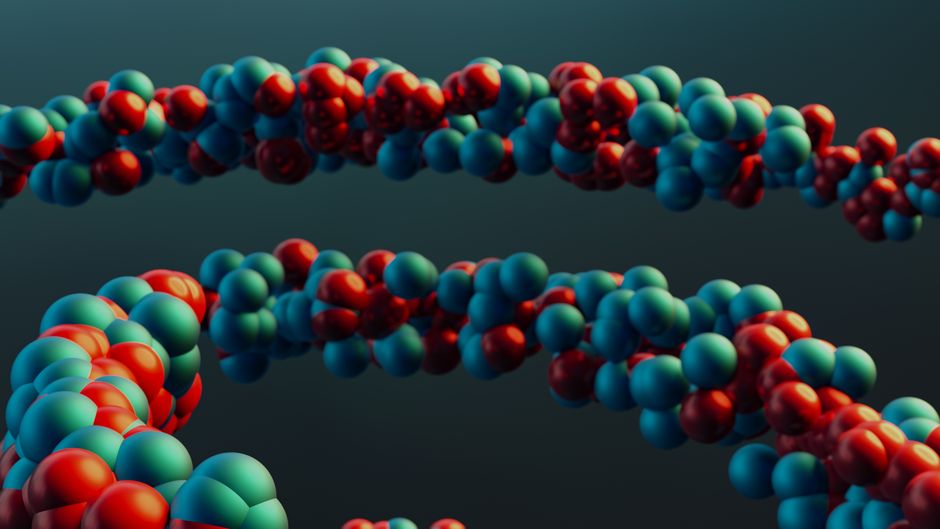 Molecular Biology II (ND)