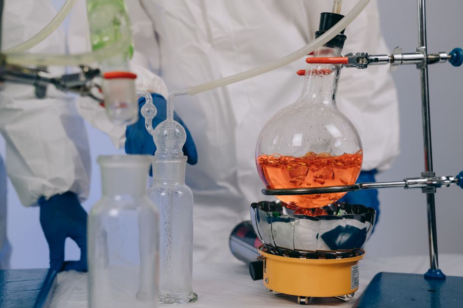 Nutritional Biochemistry I (ND)