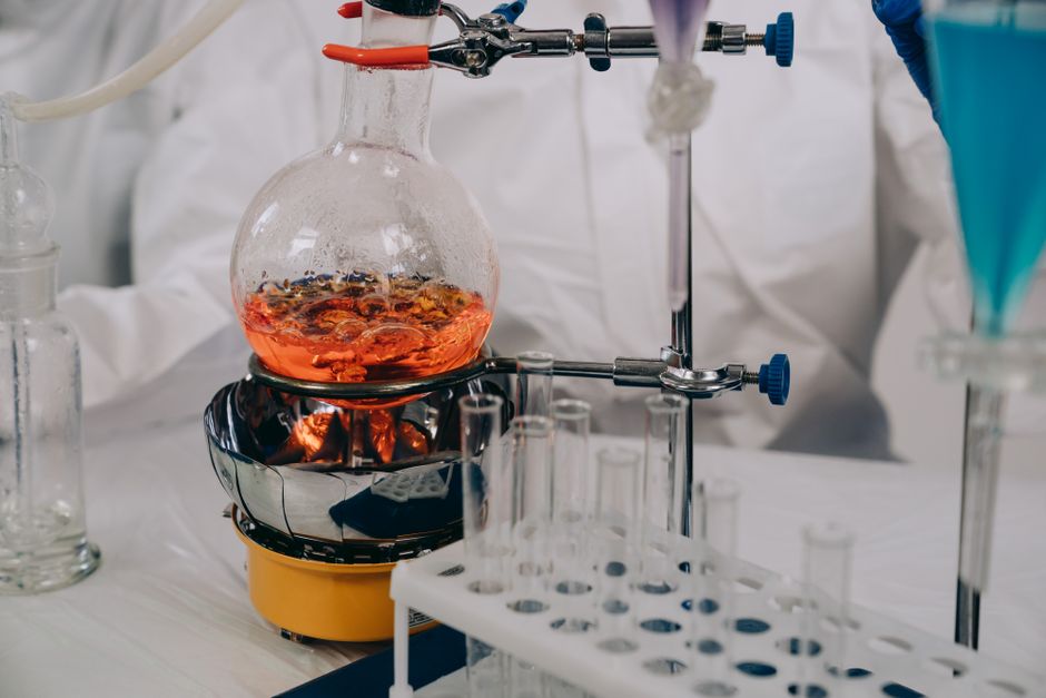 Metabolism I (BSc)