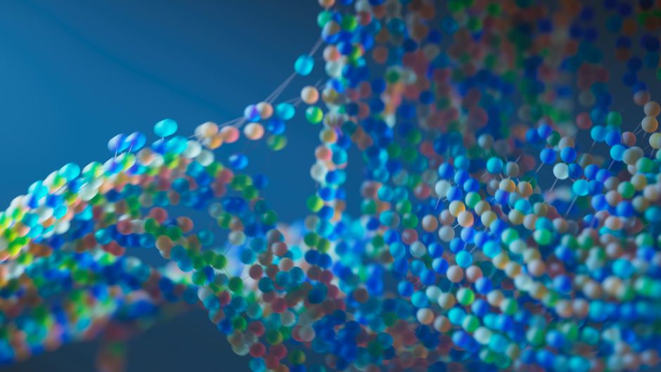 Molecular Biology II (BSc)