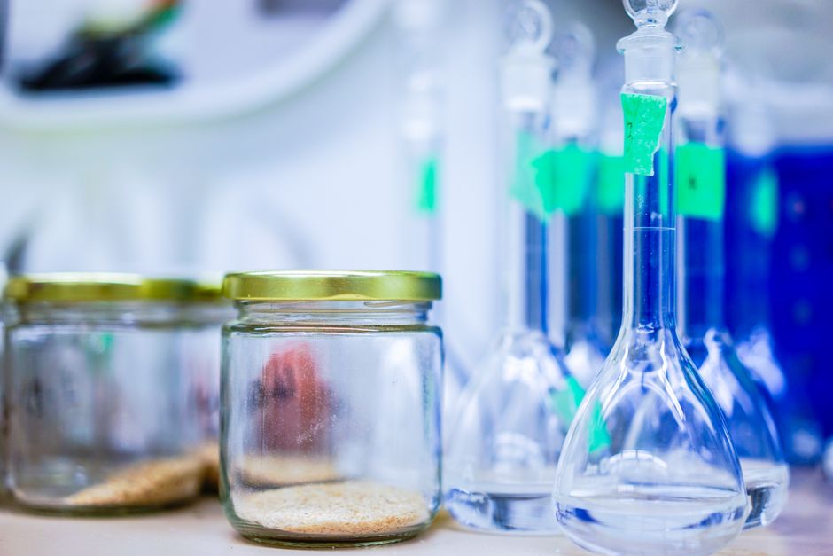 Cancer & Molecular Medicine (MSc)