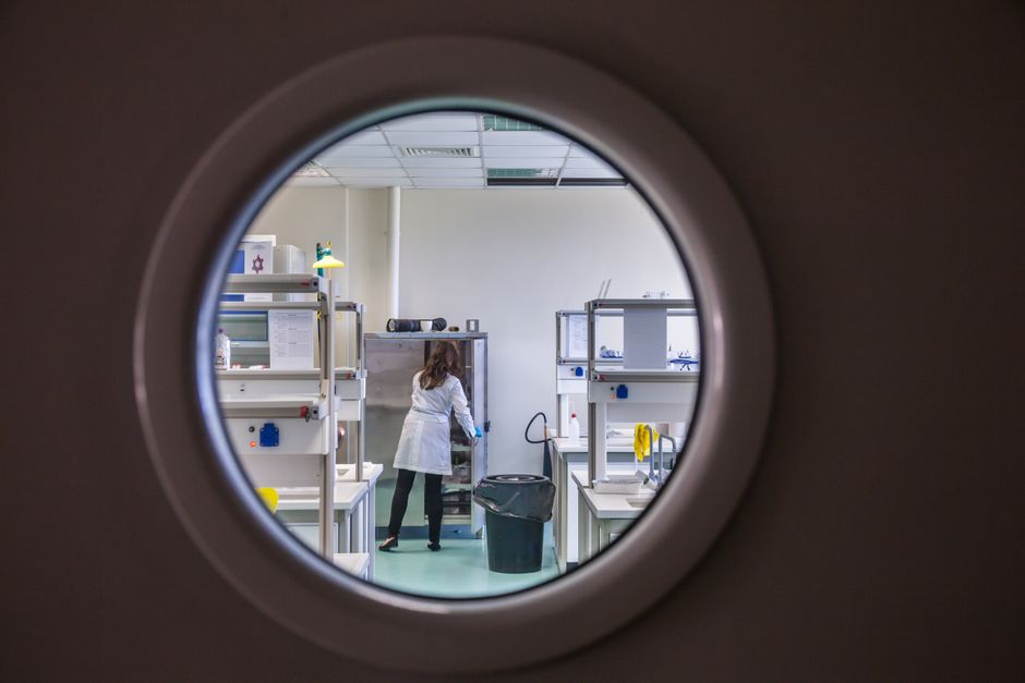 Independent Research (Biochemistry PhD)