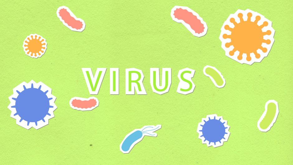 Introduction to Computers (Microbiology)