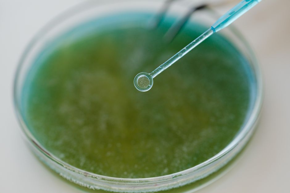 General Chemistry II (ND Microbiology)