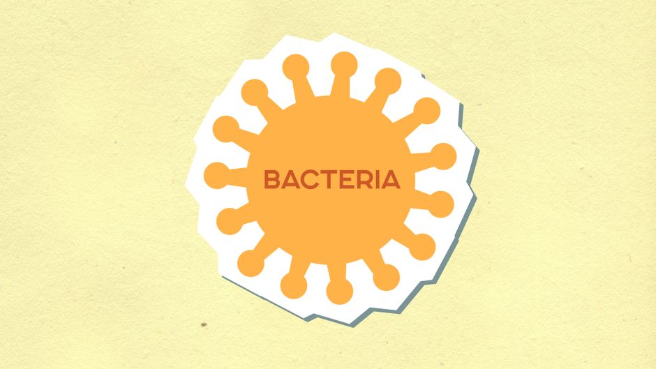 Industrial Microbiology I (ND)