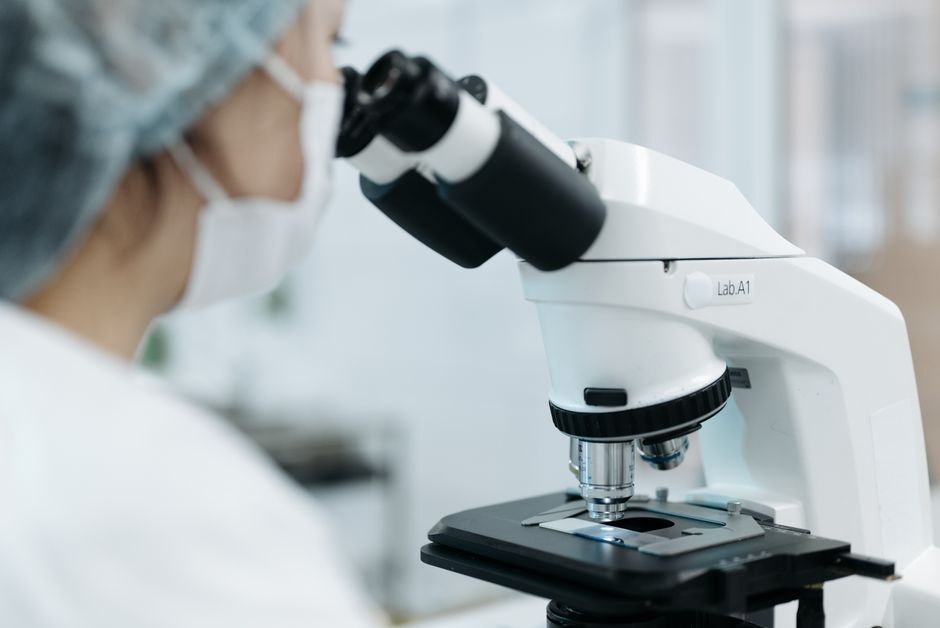 Medical Microbiology I (ND)