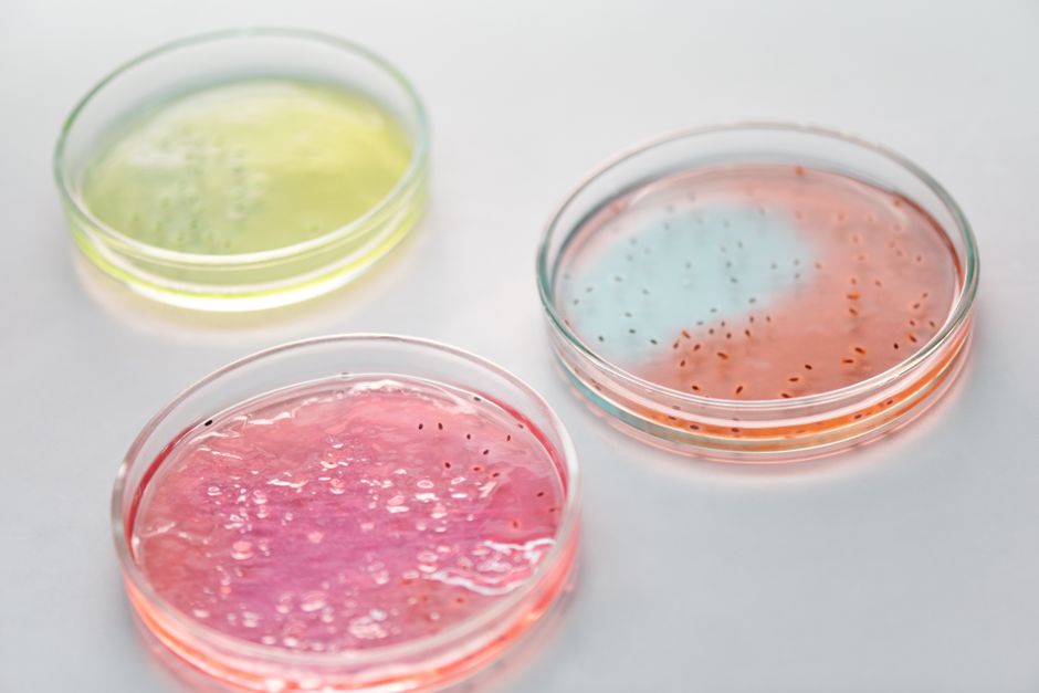 Research Methods II (ND Microbiology)