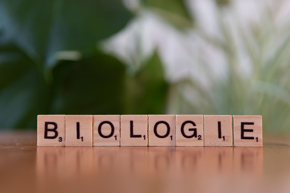 Mathematics for Microbiology (BSc)
