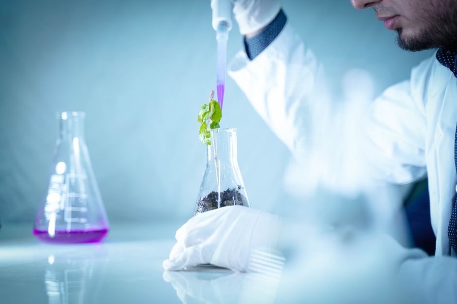 Soil & Agricultural Microbiology (BSc)