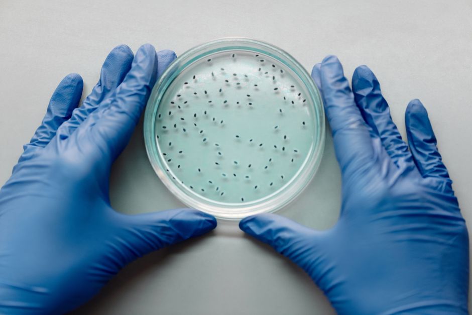 Research Methods in Microbiology (MSc)