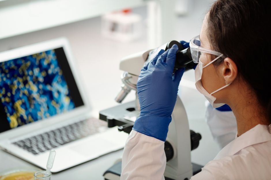 Qualifying Examination (Microbiology PhD)