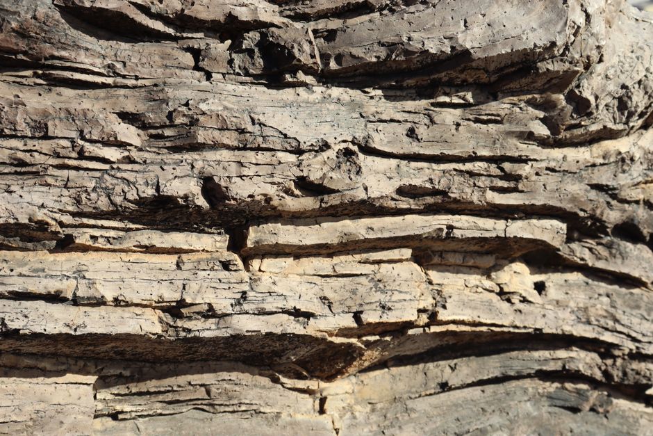 General Studies I (Geology)
