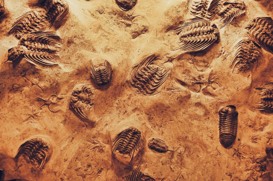Research Methods in Geology (MSc)
