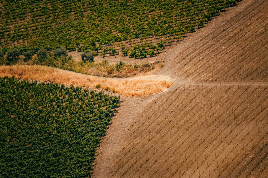 Geography of Agriculture Basics (ND)