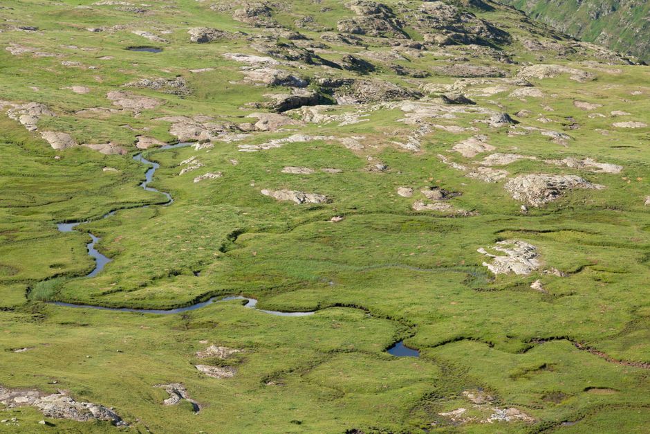 Geomorphology (BSc)