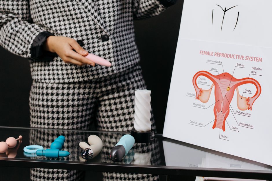Introduction to Reproductive Anatomy