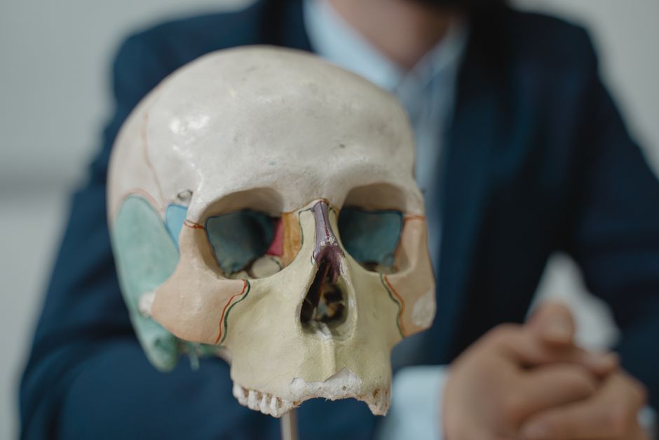 Myology (BSc)