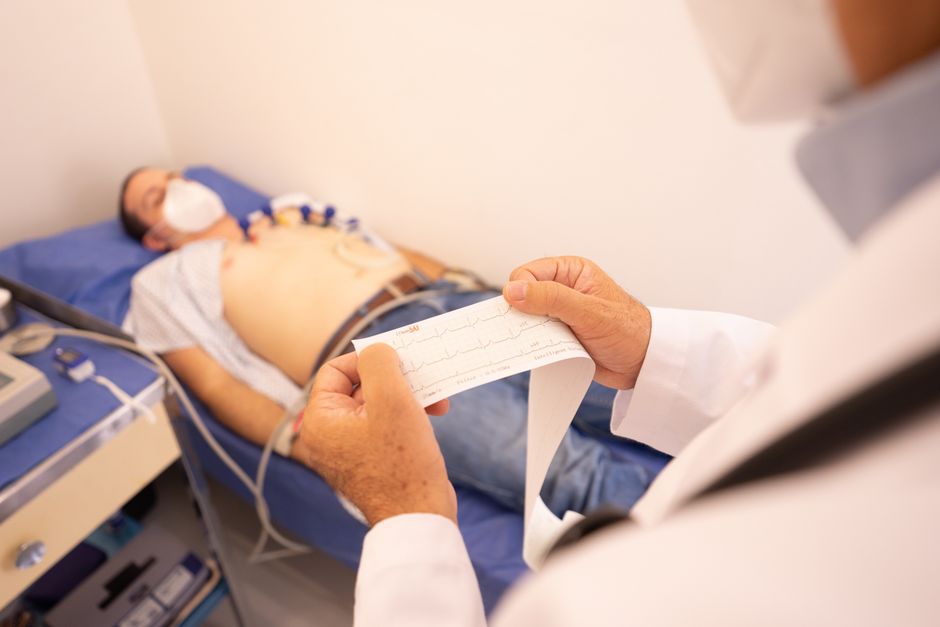 Cardiovascular & Respiratory Anatomy (BSc)