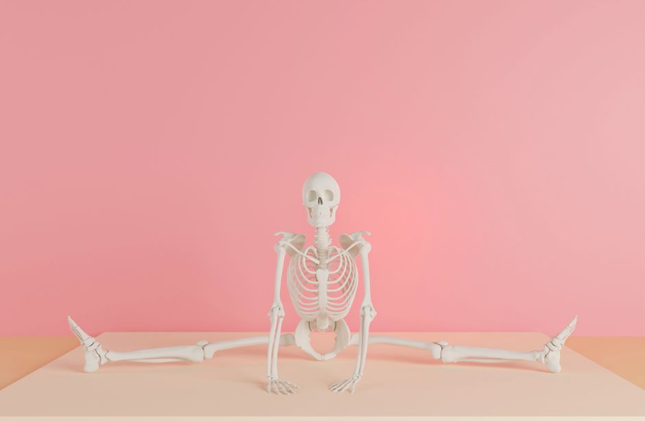 Sports & Rehabilitation Anatomy (MSc)