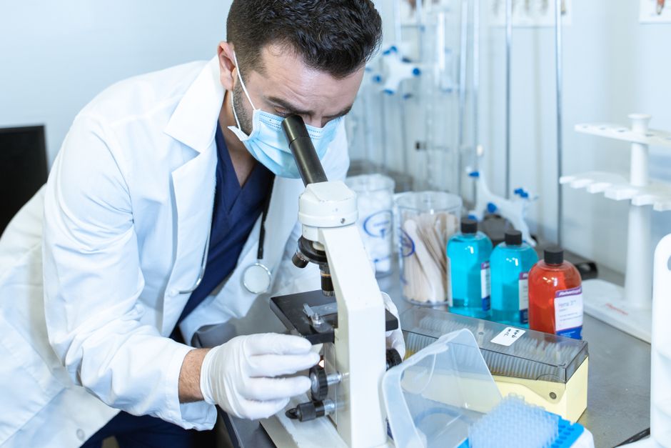 Advanced Research Methodology (PhD Anatomy)
