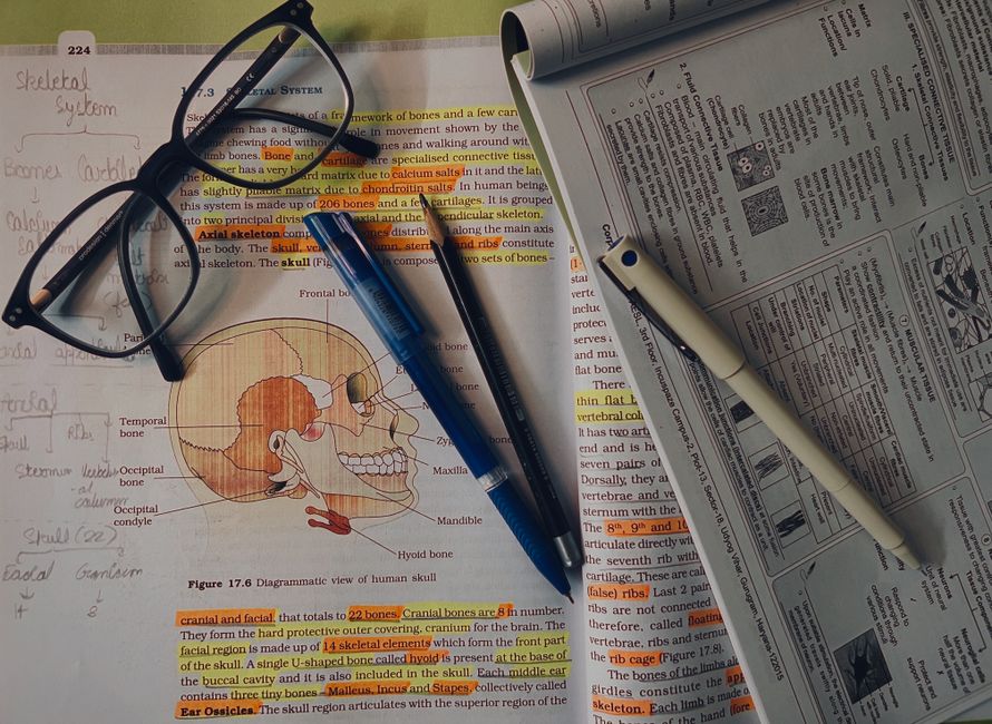 Dissertation Defense (Anatomy PhD)