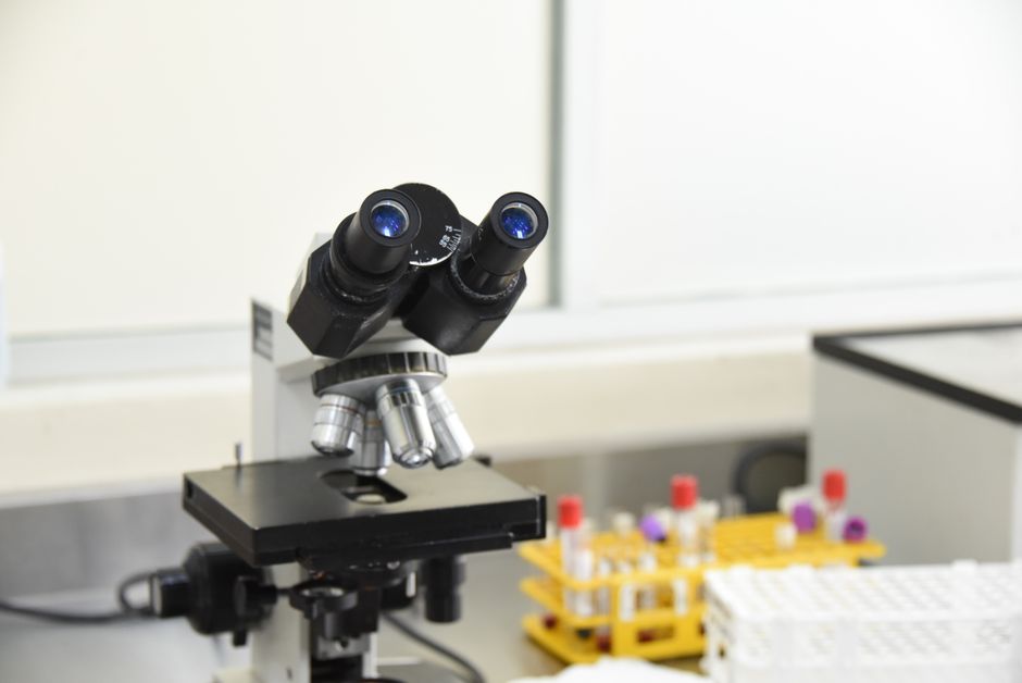 Pharmaceutical Biotechnology (MSc)