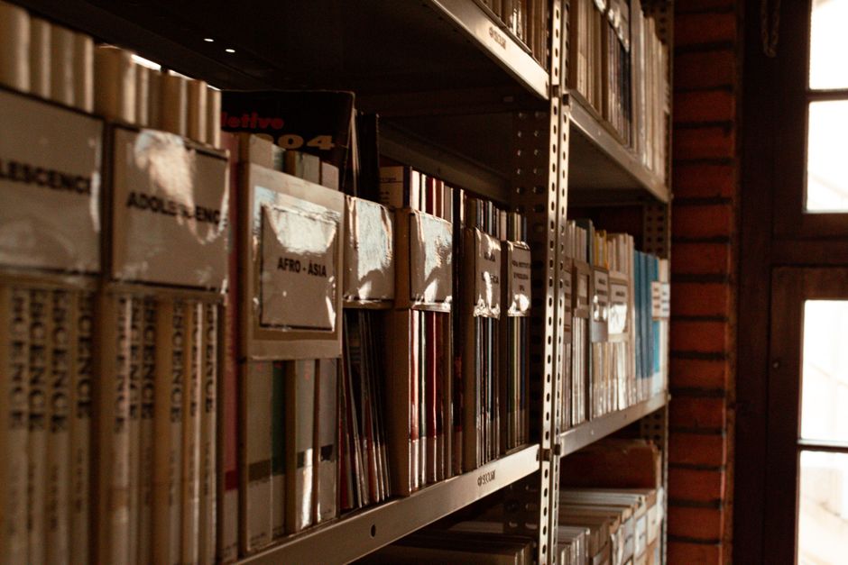 Independent Research (Political Science PhD)