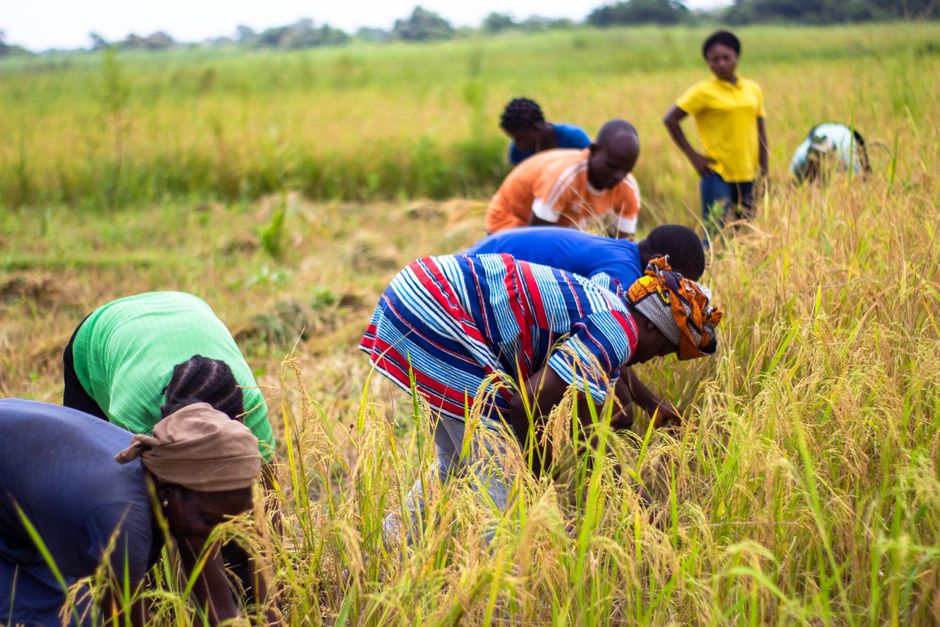 Introduction to Agricultural Extension