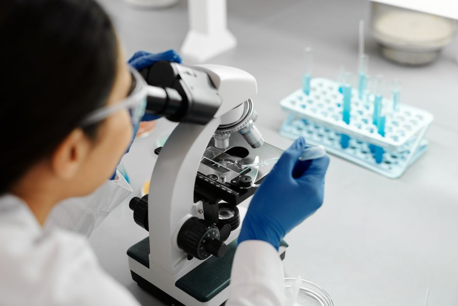 Introduction to Biomedical Engineering