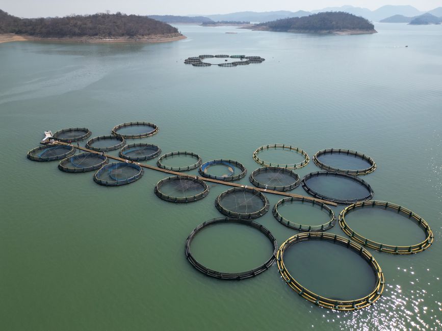 Introduction to Fisheries & Aquaculture