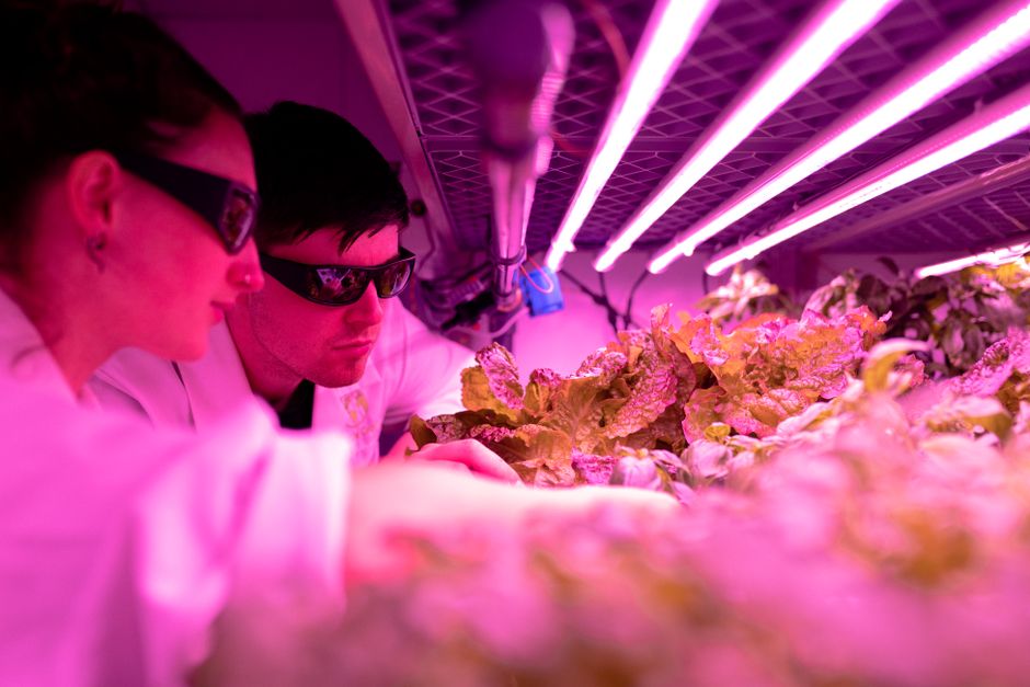 Introduction to Food Science & Technology