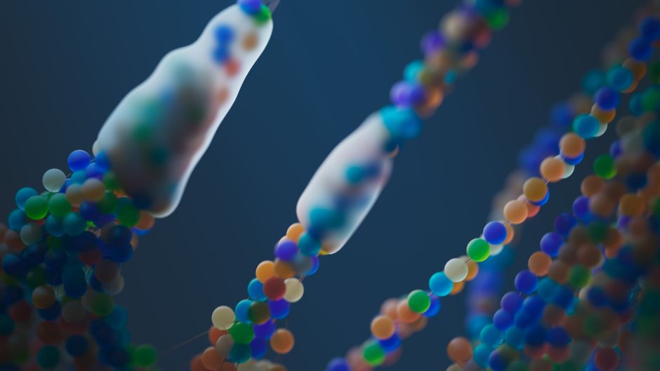 Introduction to Genetics & Biotechnology