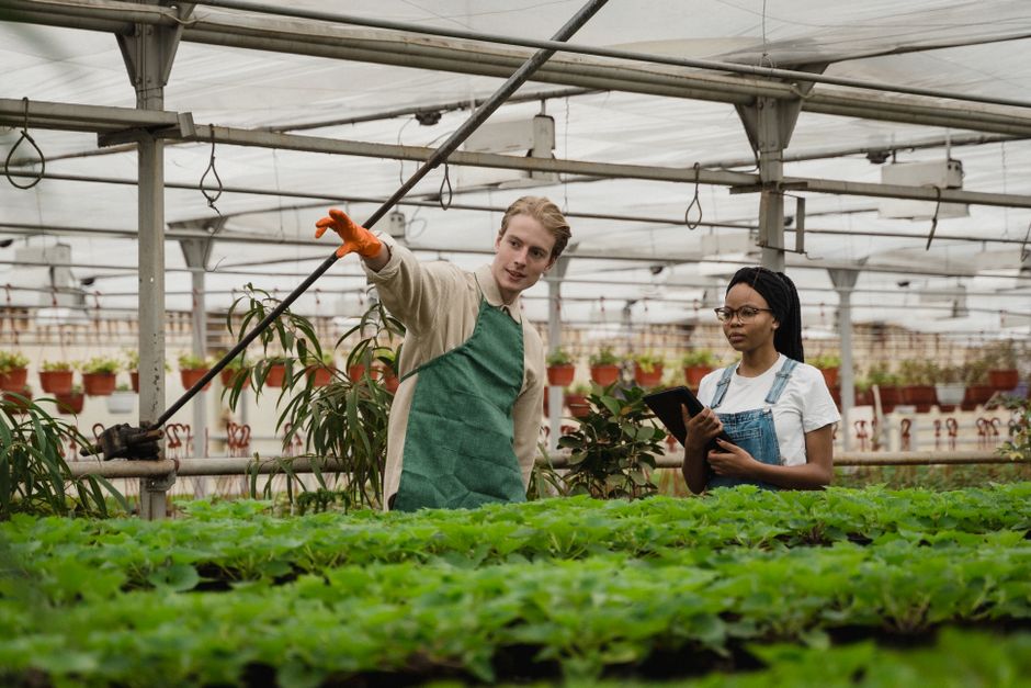 NECO Agricultural Science - Complete Exam Preparation