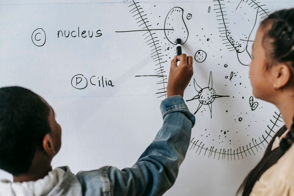 ZIMSEC O-Level Combined Science - Complete Preparation